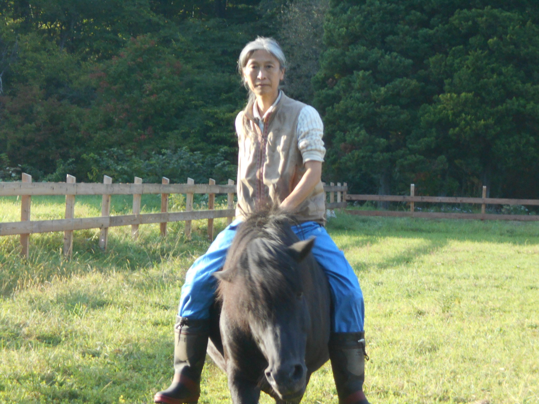 馬は何を食べるの？